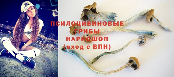 кокс Алексин